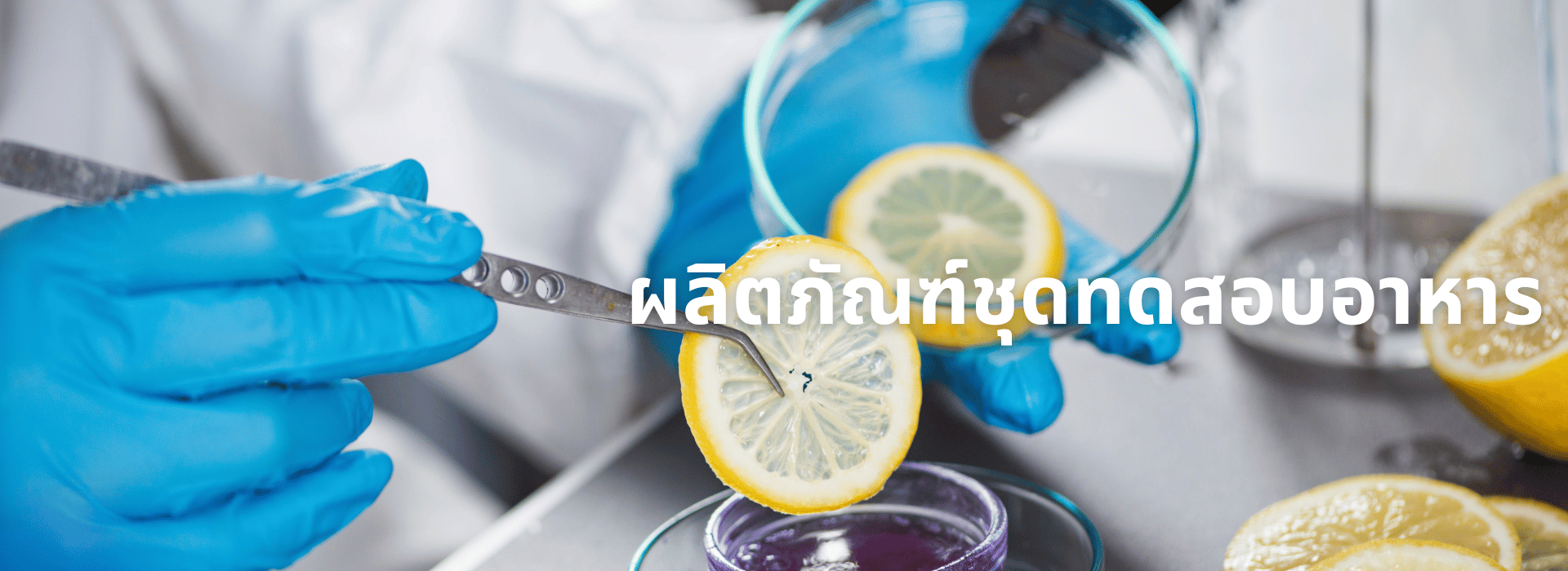 testfood (1)